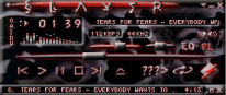 Slayer skin